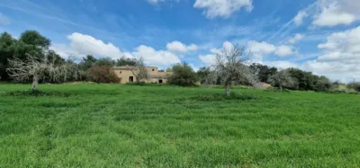 Finca rústica en venta en Mallorca, Manacor de 950.000 €