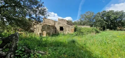 Finca rústica en venta en Mallorca, Manacor de 950.000 €