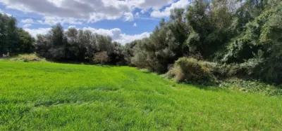 Finca rústica en venta en Mallorca, Manacor de 950.000 €