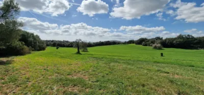 Finca rústica en venta en Mallorca, Manacor de 950.000 €