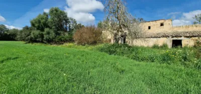 Finca rústica en venta en Mallorca, Manacor de 950.000 €