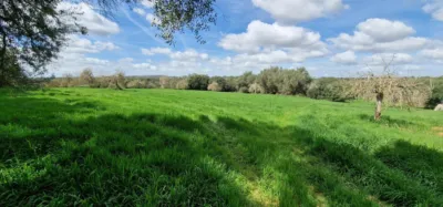 Finca rústica en venta en Mallorca, Manacor de 950.000 €