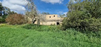 Finca rústica en venta en Mallorca, Manacor de 950.000 €