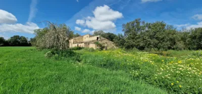 Finca rústica en venta en Mallorca, Manacor de 950.000 €