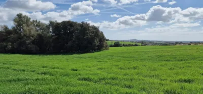 Finca rústica en venta en Mallorca, Manacor de 950.000 €