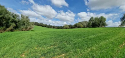 Finca rústica en venta en Mallorca, Manacor de 950.000 €