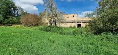 Finca rústica en venta en Mallorca, Manacor de 950.000 €