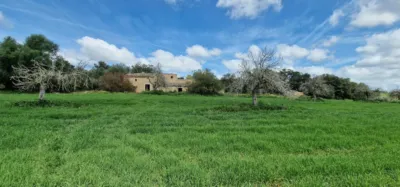 Finca rústica en venta en Mallorca, Manacor de 950.000 €