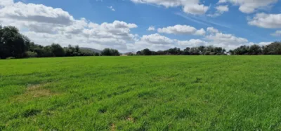 Finca rústica en venta en Mallorca, Manacor de 950.000 €