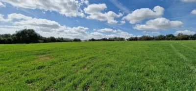 Finca rústica en venta en Mallorca, Manacor de 950.000 €