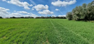 Finca rústica en venta en Mallorca, Manacor de 950.000 €