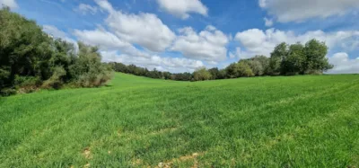 Finca rústica en venta en Mallorca, Manacor de 950.000 €