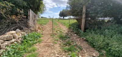 Finca rústica en venta en Mallorca, Manacor de 950.000 €