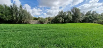 Finca rústica en venta en Mallorca, Manacor de 950.000 €