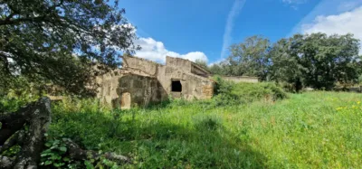 Finca rústica en venta en Mallorca, Manacor de 950.000 €