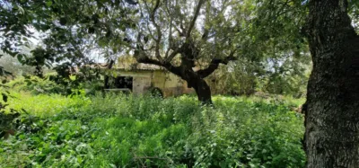 Finca rústica en venta en Mallorca, Manacor de 950.000 €