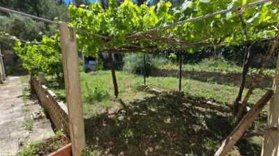 Chalet en Mancor de La Vall photo 3