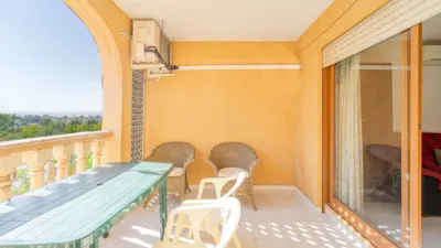 Pis – Torrevieja, Europa - Vista 3