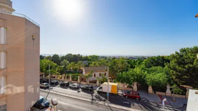Pis – Torrevieja, Europa - Vista 5