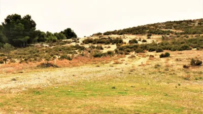 Terreno en venta en Cañada - Més