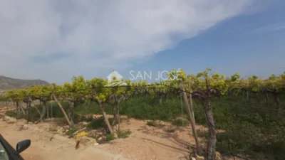 Terreno en venta en Alcaná - Más