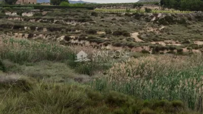 Terreno en venta en Carretera de Monóvar - Vista 2
