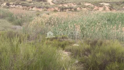 Terreno en venta en Carretera de Monóvar - Vista 3