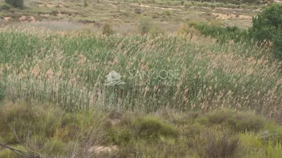 Terreno en venta en Carretera de Monóvar - Vista 4