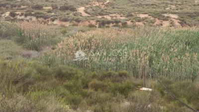 Terreno en venta en Carretera de Monóvar - Vista 5