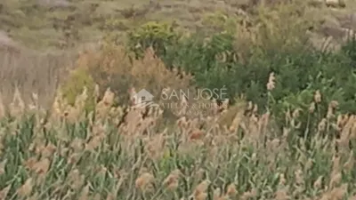 Terreno en venta en Carretera de Monóvar - Més