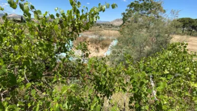 Rustic farm in Uchel photo 20