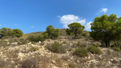 Terreno en venta en Monforte del Cid - Vista 3