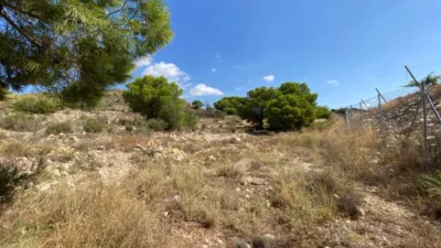 Terreno en venta en Monforte del Cid - Vista 4