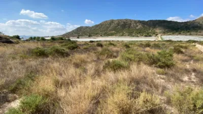 Terreno en venta en Monforte del Cid - Més