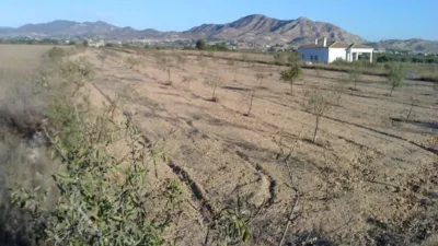 Terreno en venta en Ctra de Hondon de Las Nieves - Vista 2