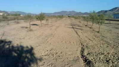 Terreno en venta en Ctra de Hondon de Las Nieves - Vista 4