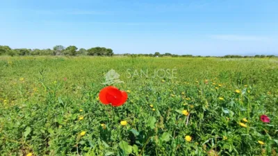 Terreno en venta en El Altet - Vista 5