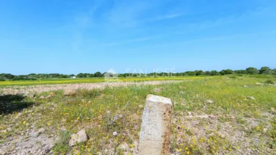 Terreno en venta en El Altet - Más