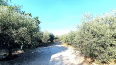Terreno en venta en Alcaná - Vista 2