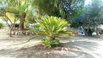 Terreno en venta en Alcaná - Vista 5