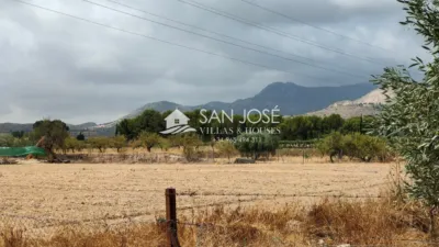 Casa – Aspe, Urbanización Jardines de San Ramón - Vista 4