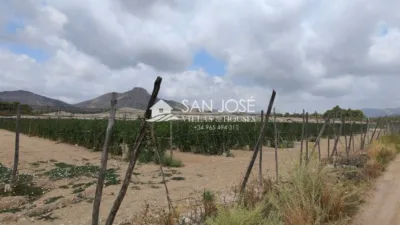 Casa – Aspe, Urbanización Jardines de San Ramón - Vista 5