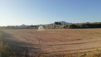 Rustic finca in Aspe photo 2