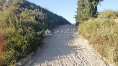 Rustic finca in Aspe photo 3