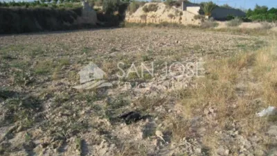 Rustic finca in Aspe photo 5