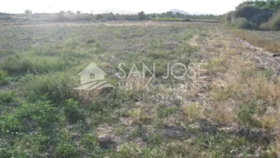 Rustic finca in Aspe photo 6