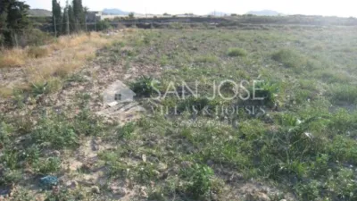 Rustic finca in Aspe photo 7