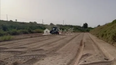 Rustic finca in Aspe photo 8