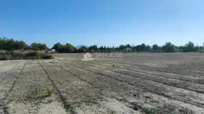 Terreno en venta en Aljau - Vista 5
