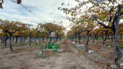 Terreno en venta en Crtra Hondon de Las Nieves - Vista 2